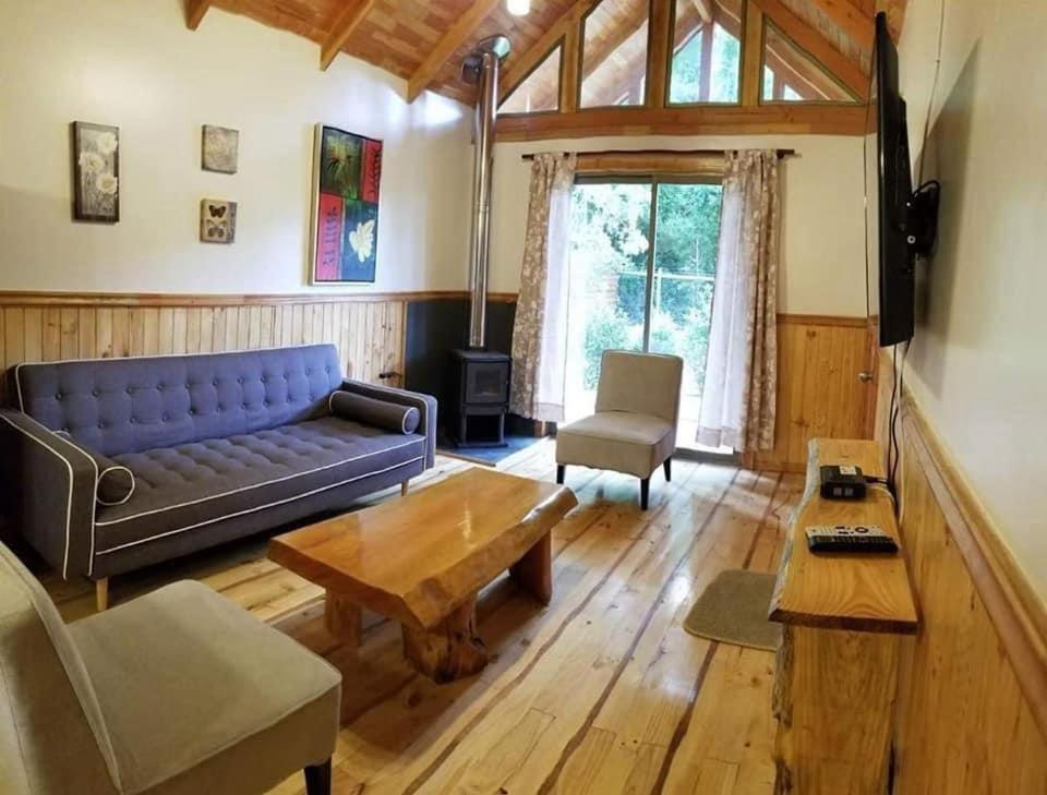 Palki Apartamento Pucón