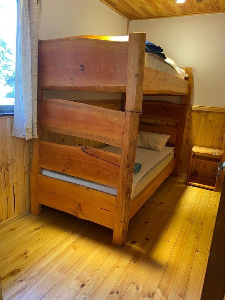 Palki Apartamento Pucón