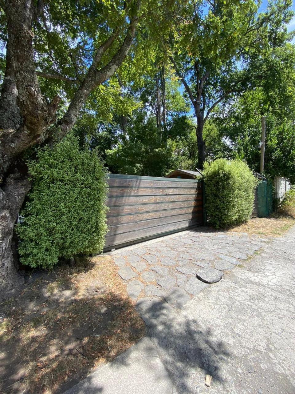 Apartamento Palki *