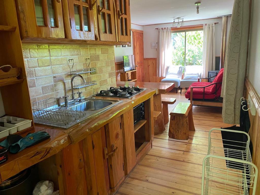 Palki Apartamento Pucón