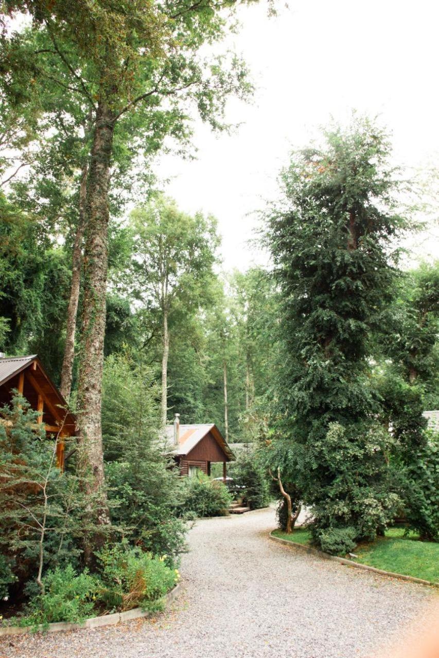 Palki Apartamento Pucón